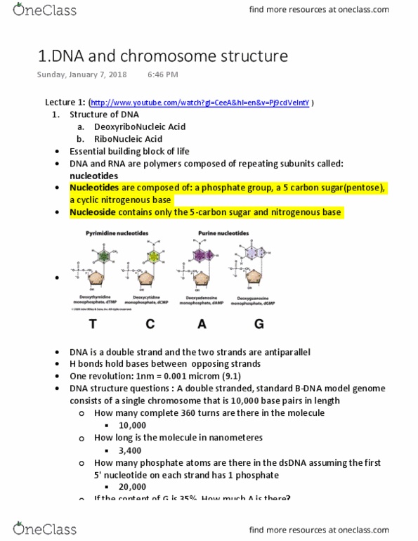 BIOL 1090 Lecture Notes - Lecture 1: Major Minor Records, Nucleosome, Sister Chromatids thumbnail