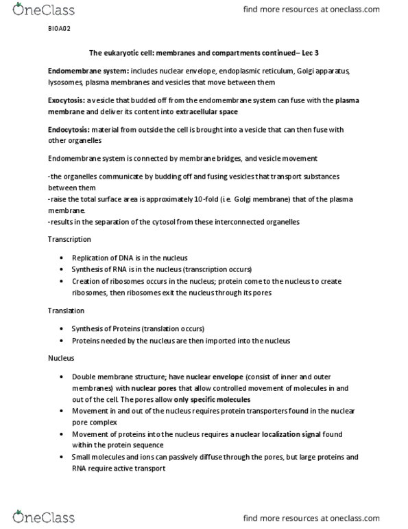 BIOA01H3 Lecture Notes - Lecture 3: Electrochemical Gradient, Chlorophyll, Integral Membrane Protein thumbnail