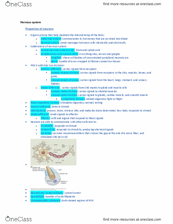 BIOL 1051H Chapter Notes - Chapter 12: Retina, Axolemma, Membrane Potential thumbnail
