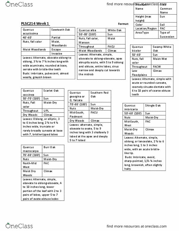 PLSC214 Lecture Notes - Lecture 2: Ibm 7090, Aesculus, Liquidambar thumbnail