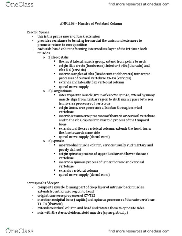 ANP 1106 Lecture Notes - Lecture 12: Abdominal Wall, Erector Spinae Muscles, Thoracic Vertebrae thumbnail