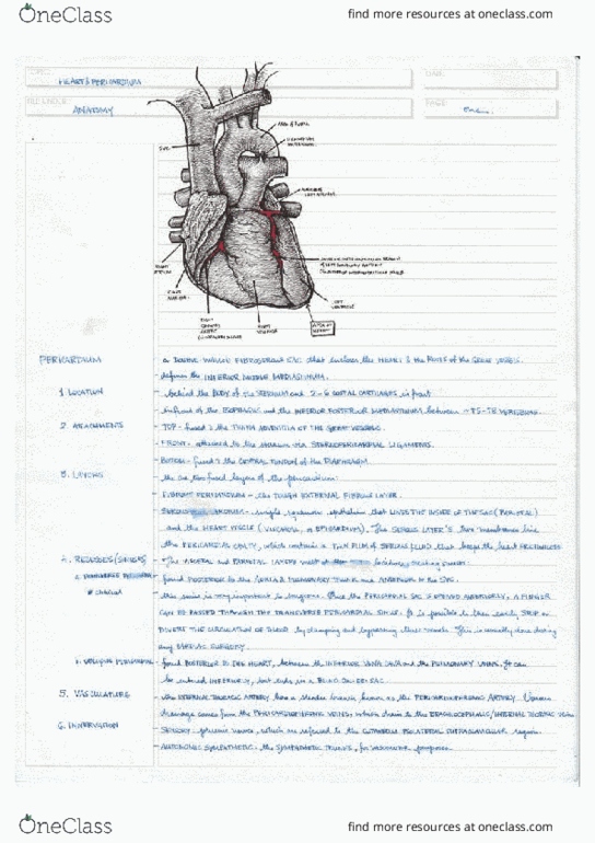 document preview image