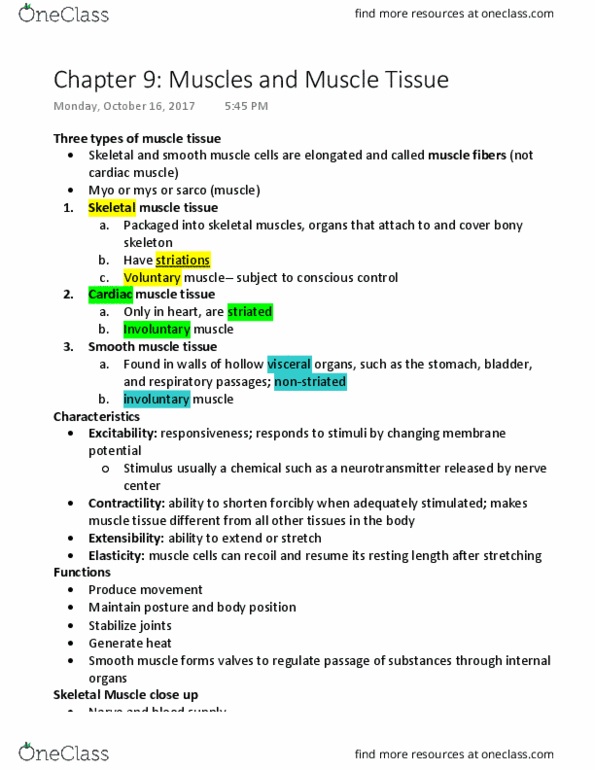 APK 3110C Lecture Notes - Lecture 6: Overcoat, Glycogen, Dystrophin thumbnail