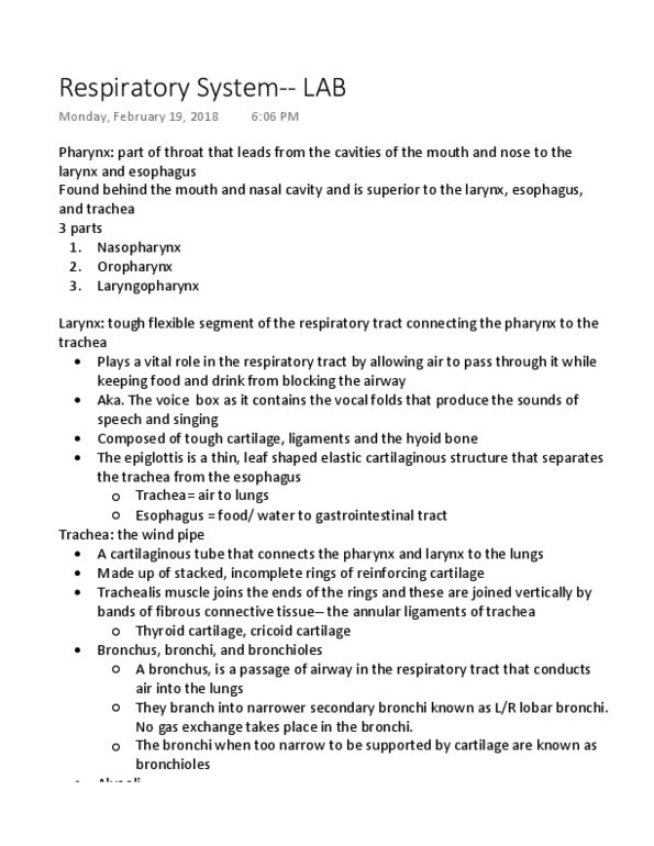APK 3110C Lecture 4: Respiratory System-- LAB thumbnail