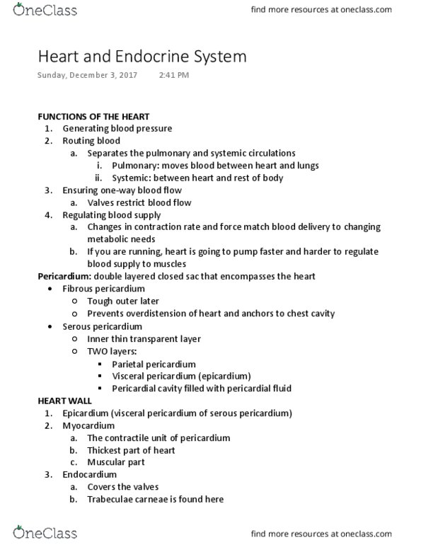 APK 3110C Lecture Notes - Lecture 8: Pressure Overload, Electrocardiography, T Wave thumbnail