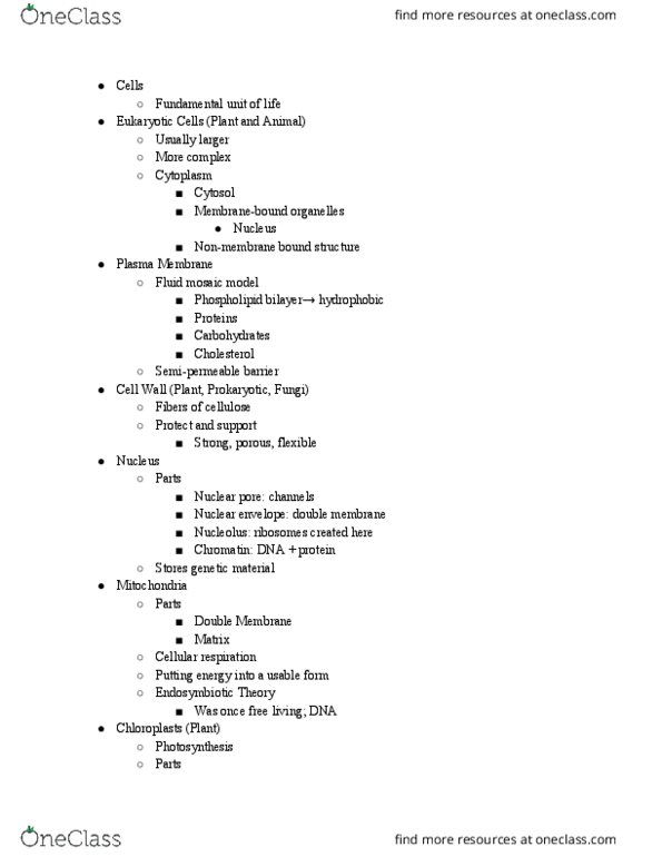 BISC104 Lecture Notes - Lecture 4: Osmoregulation, Osmosis, Spindle Apparatus thumbnail