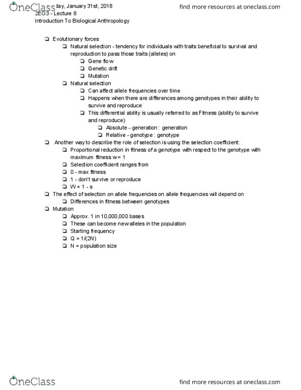 ANTHROP 2E03 Lecture Notes - Lecture 8: Selection Coefficient, Allele Frequency, Genetic Drift thumbnail