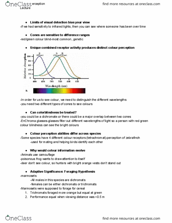 PSYCH 1XX3 Lecture Notes - Lecture 6: Human Factors And Ergonomics, Mccollough Effect, Color Blindness thumbnail