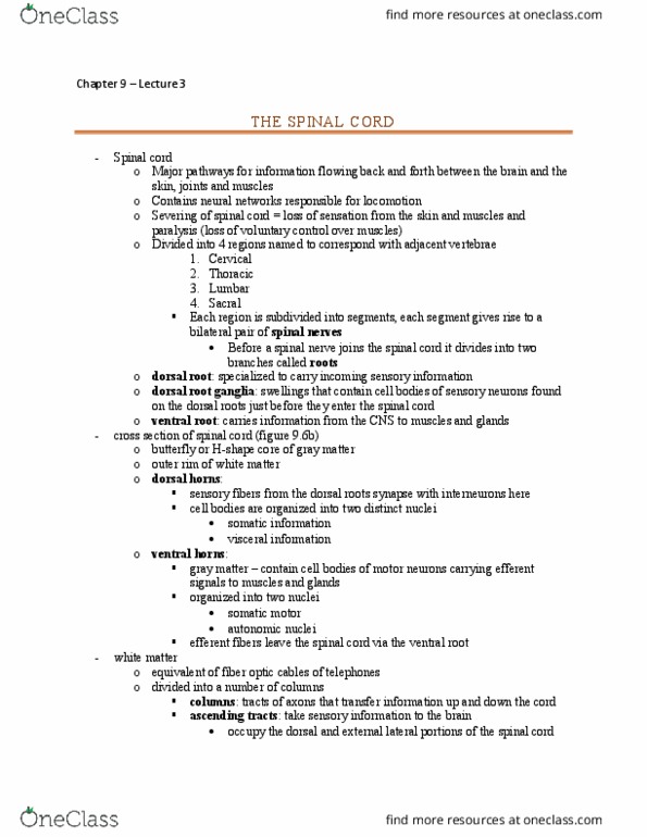 BIOL 2410 Lecture Notes - Lecture 3: Reductionism, Mnemonic, Parotid Gland thumbnail