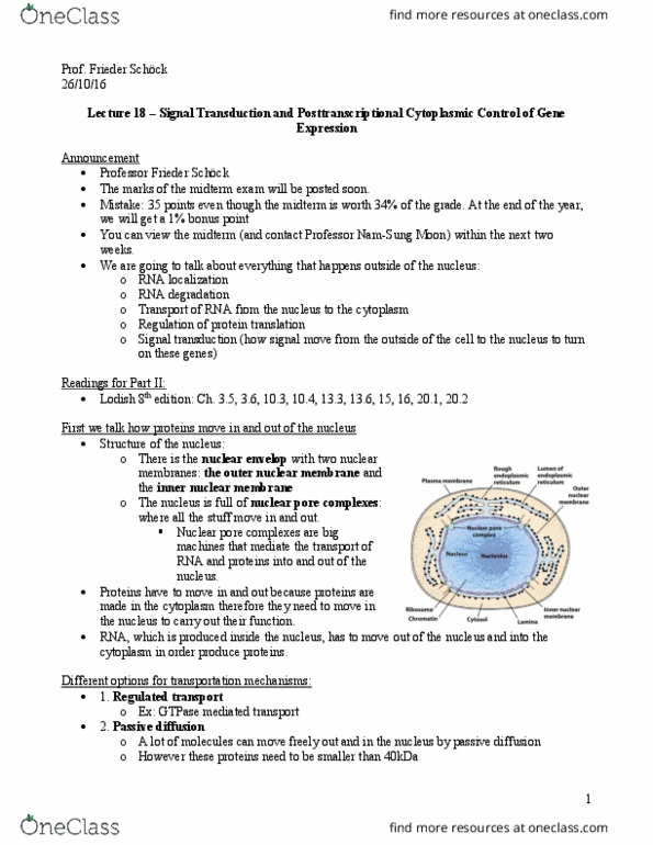 BIOL 300 Lecture Notes - Lecture 17: Wild Type, Hydrolysis, Cytosol thumbnail