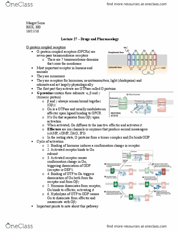 BIOL 300 Lecture Notes - Lecture 27: Phosphodiesterase, Adenylyl Cyclase, Adderall thumbnail