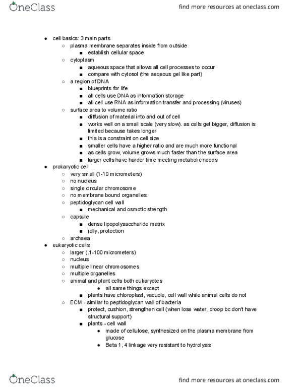 BIOL 1105 Lecture Notes - Lecture 4: Nuclear Membrane, Nuclear Pore, Peroxisome thumbnail