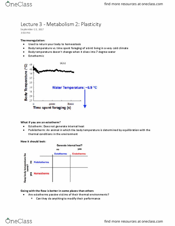 Biology 2601A/B Lecture Notes - Lecture 3: Viscosity, Rainbow Trout, Glucagon thumbnail