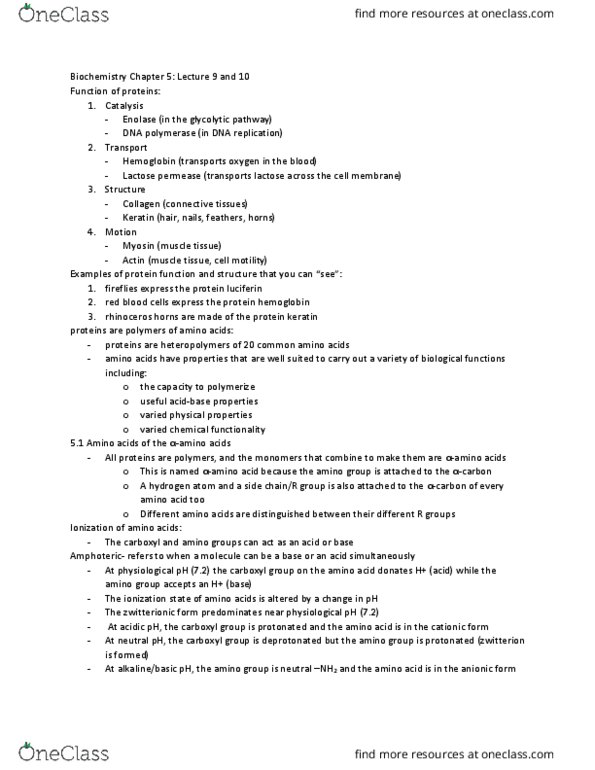 BCH 261 Chapter Notes - Chapter 5: Sulfur, Asparagine, Electromagnetic Spectrum thumbnail