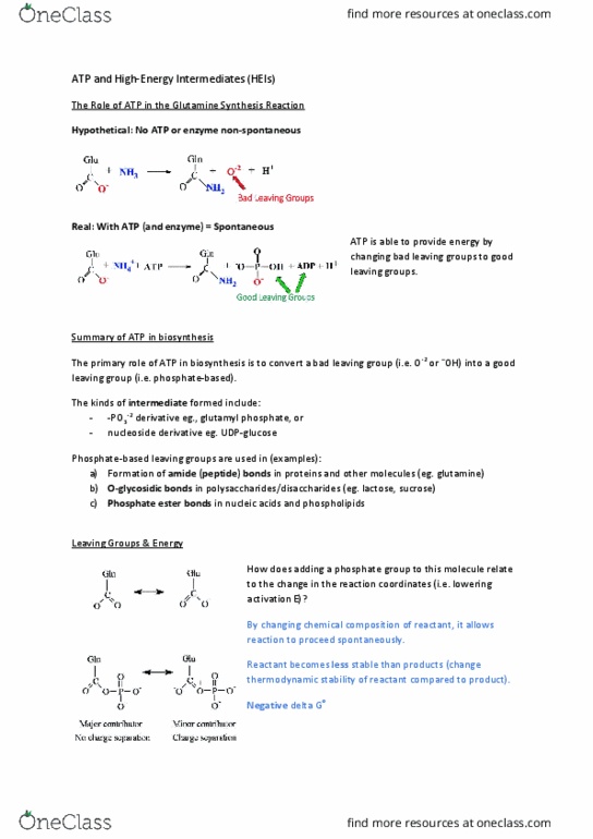 BIOL 201 Lecture Notes - Lecture 23: Electron Shell, Citric Acid, Lyase thumbnail