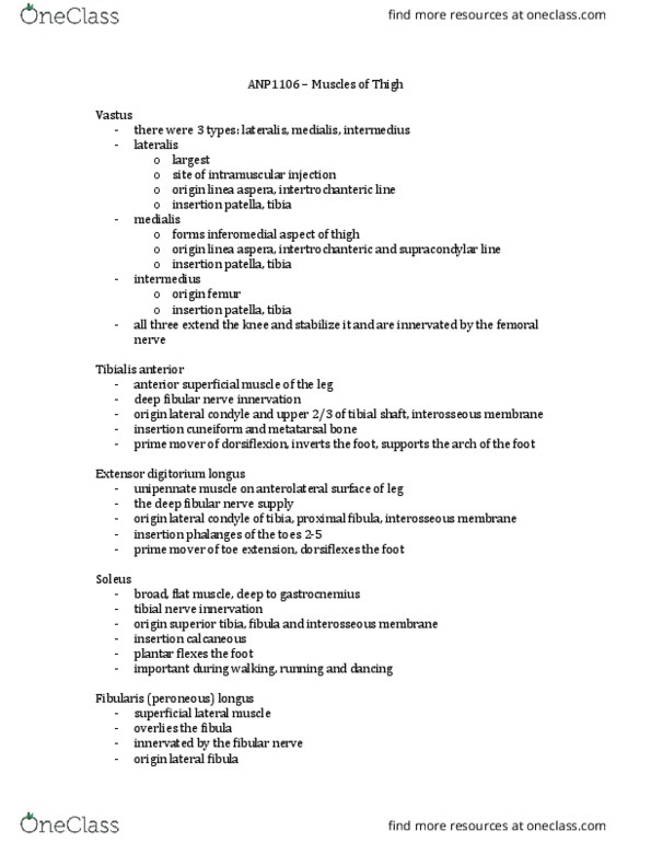 ANP 1106 Lecture Notes - Lecture 20: Linea Aspera, Common Peroneal Nerve, Tibial Nerve thumbnail