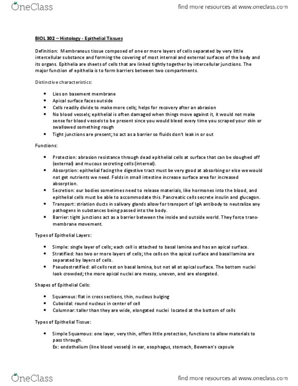 BIOL302 Lecture Notes - Paracrine Signalling, Cell Membrane, Cytoskeleton thumbnail