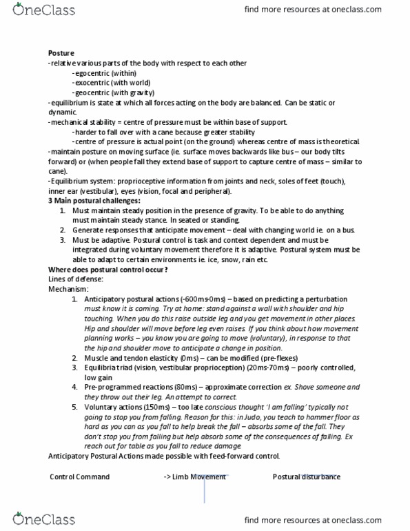 EPHE 380 Lecture Notes - Lecture 8: Retina, Hair Cell, Saccule thumbnail