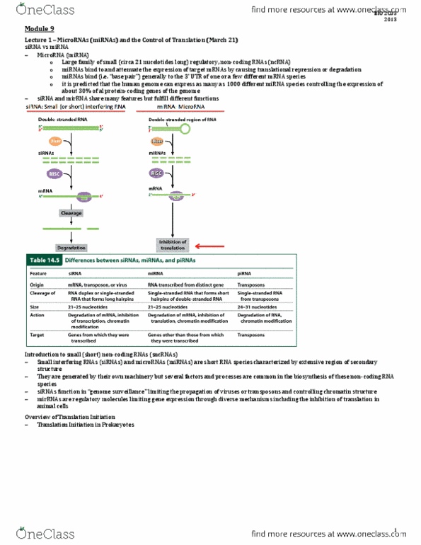 BIOLOGY 2C03 Lecture Notes - Intron, Oncogene, Tumor Suppressor Gene thumbnail