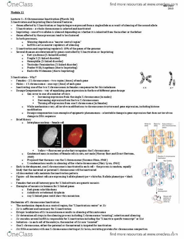 BIOLOGY 2C03 Lecture Notes - Attention Deficit Hyperactivity Disorder, Ubiquitin, Intellectual Disability thumbnail