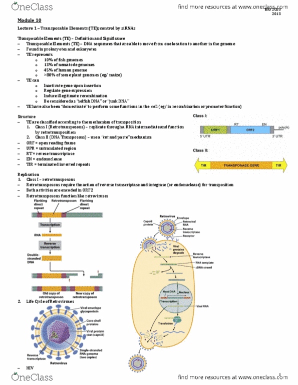 BIOLOGY 2C03 Lecture Notes - Brca2, Anthocyanin, Transferase thumbnail