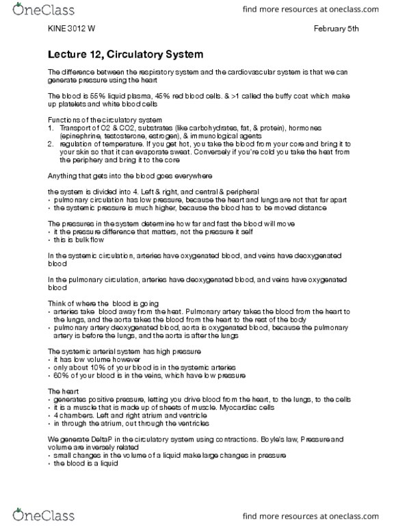 KINE 3012 Lecture Notes - Lecture 12: Chordae Tendineae, Sinoatrial Node, Skeletal Muscle thumbnail