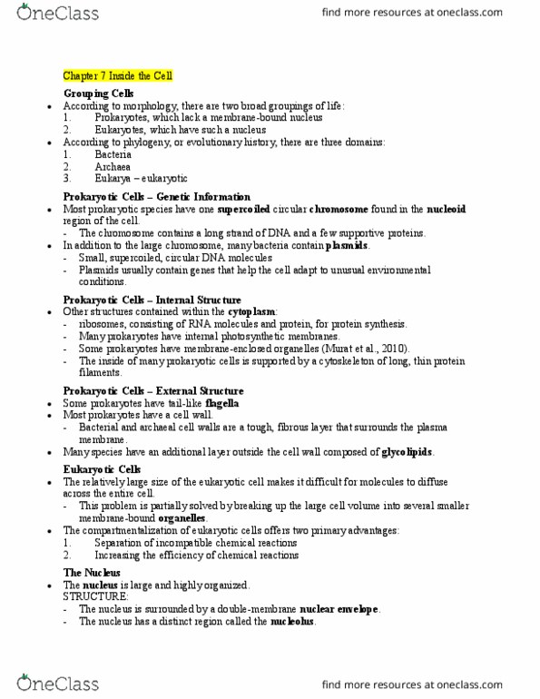 BLG 143 Chapter Notes - Chapter 7-11: Protein Kinase, Chromatin, Coenzyme A thumbnail