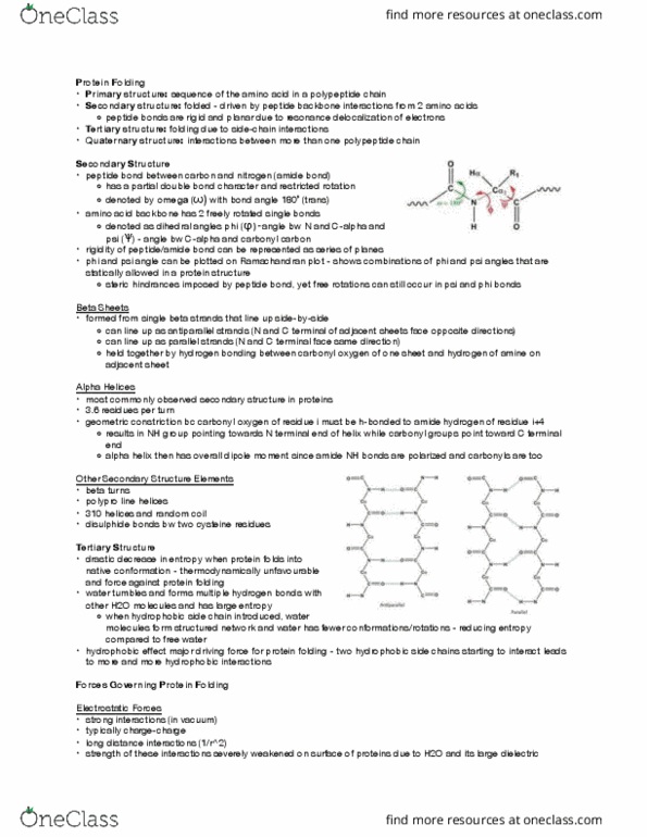 BIOCHEM 2EE3 Lecture Notes - Lecture 4: Phenylalanine, Collagen, Keratin thumbnail