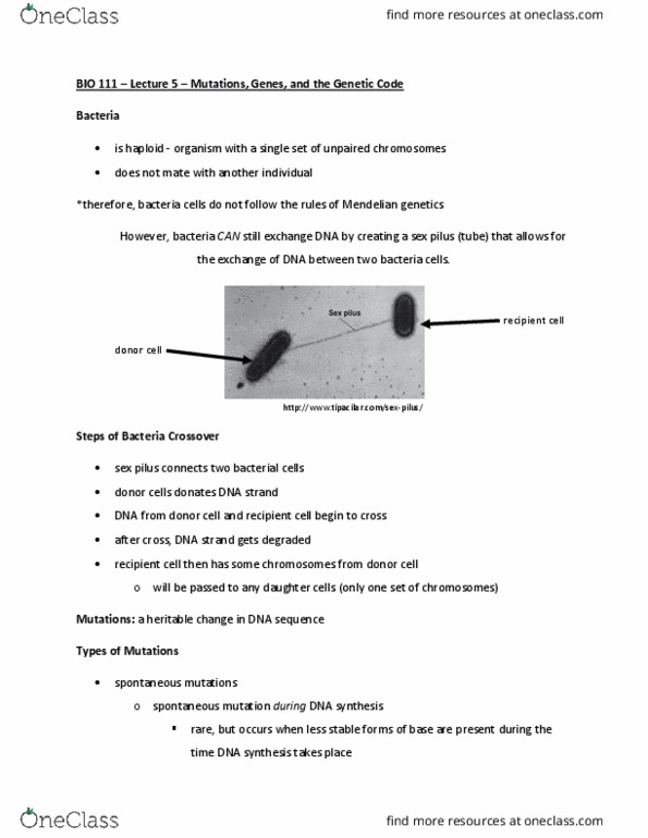 BIO 111 Lecture Notes - Lecture 5: Oncogene, Sickle-Cell Disease, Stop Codon thumbnail