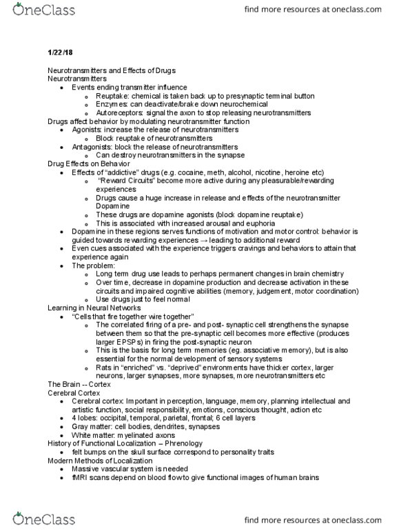 PSY 201 Lecture Notes - Lecture 3: Phineas Gage, Primary Sensory Areas, Cerebral Cortex thumbnail