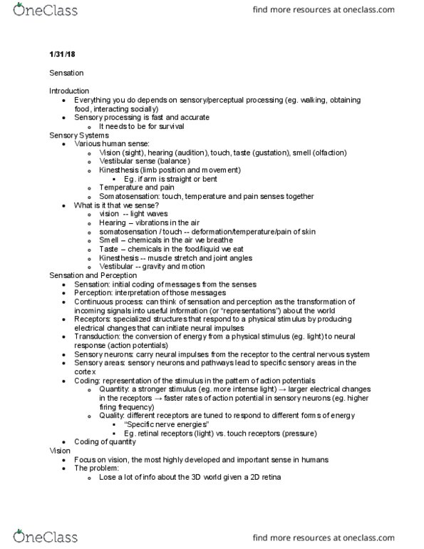 PSY 201 Lecture Notes - Lecture 5: Color Vision, Thalamus, Receptive Field thumbnail