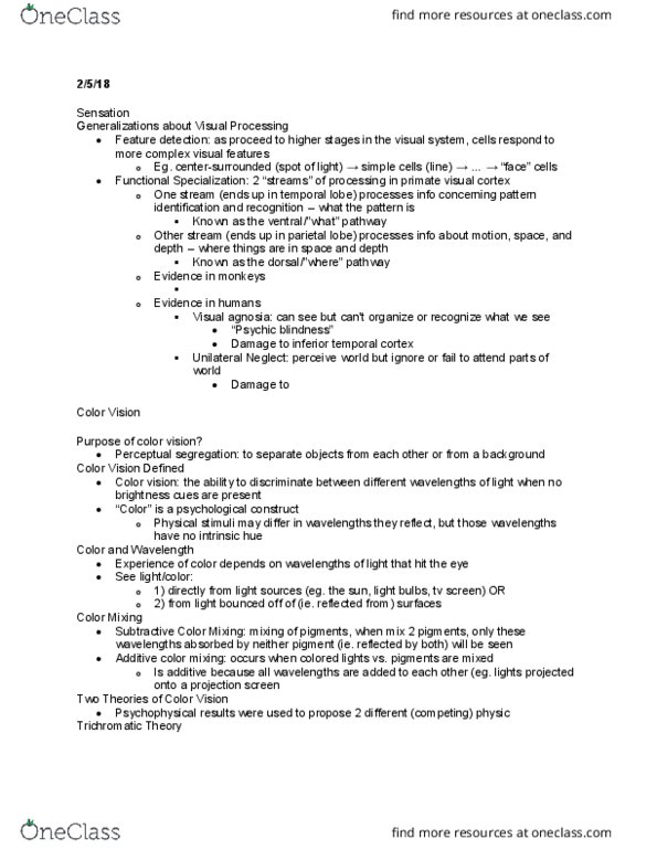 PSY 201 Lecture Notes - Lecture 6: Retina, Afterimage, Retinal Ganglion Cell thumbnail