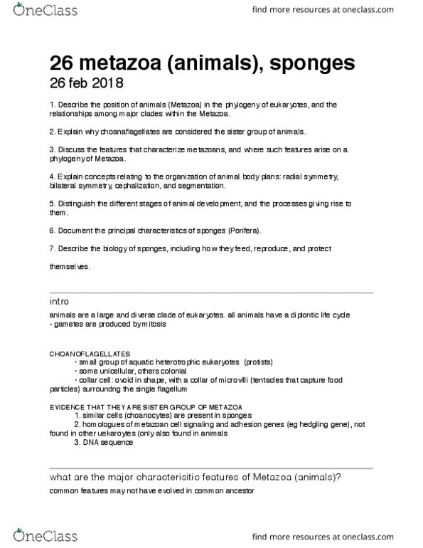 BIS 2C Lecture Notes - Lecture 26: Blastula, Calcareous Sponge, Mesohyl thumbnail