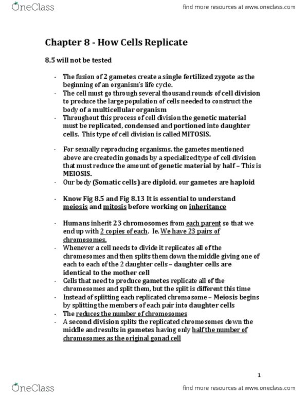 Biology 1225 Chapter Notes - Chapter 8: Cell Membrane, Sporophyte, Cell Plate thumbnail