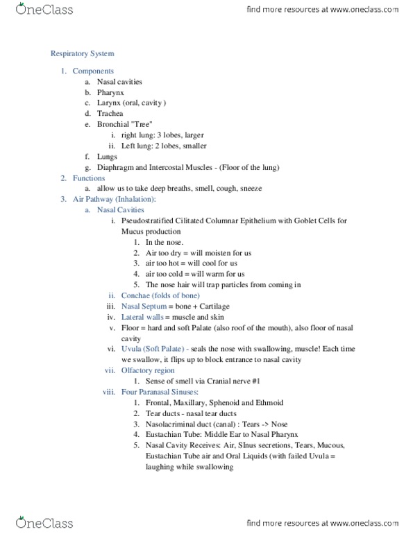 BIOL 065 Lecture Notes - Pneumothorax, Pus, Surface Tension thumbnail