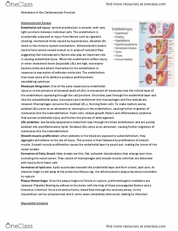 NURSING 3PA2 Lecture Notes - Lecture 6: Neutrophil, Papillary Muscle, Milrinone thumbnail