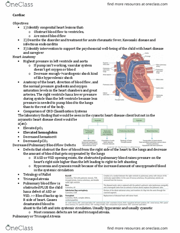 NURS 3444 Lecture Notes - Lecture 25: Anomalous Pulmonary Venous Connection, Tricuspid Atresia, Pulmonary Atresia thumbnail