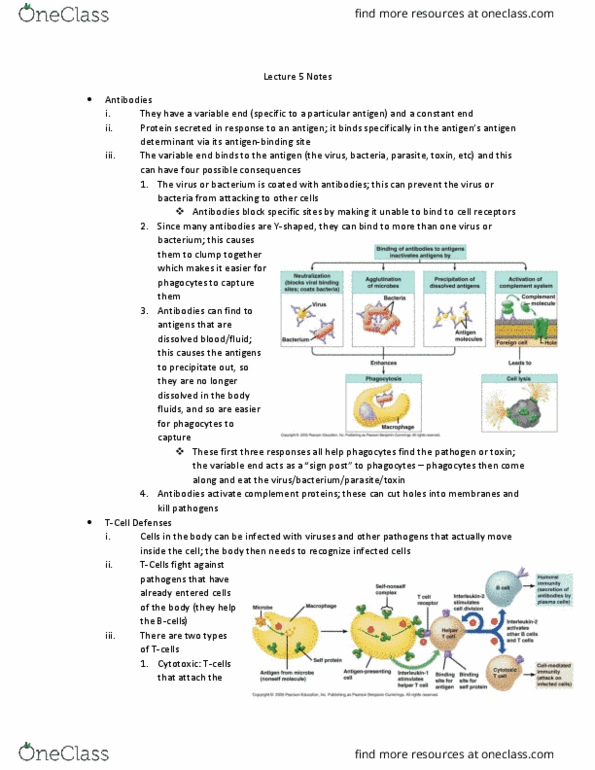 BIOL 104 Lecture Notes - Lecture 5: Myelin, Multiple Sclerosis, Antigen thumbnail