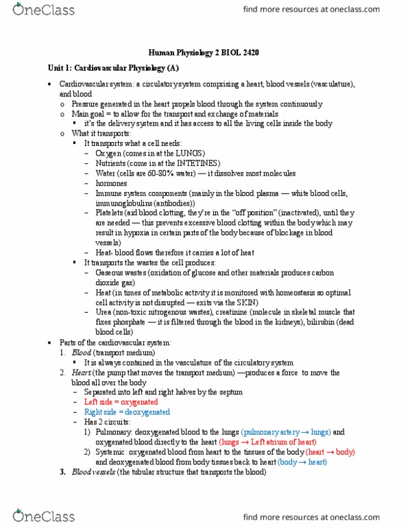 BIOL 2420 Lecture Notes - Lecture 1: Pulmonary Artery, Circulatory System, Blood Plasma thumbnail