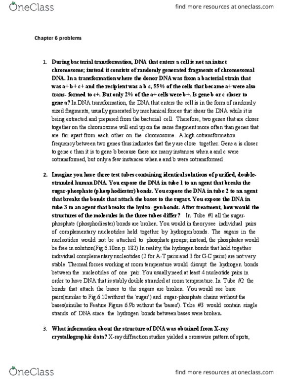 BIO 325 Chapter Notes - Chapter 6: Phosphodiester Bond, Isotopes Of Nitrogen, Maurice Wilkins thumbnail