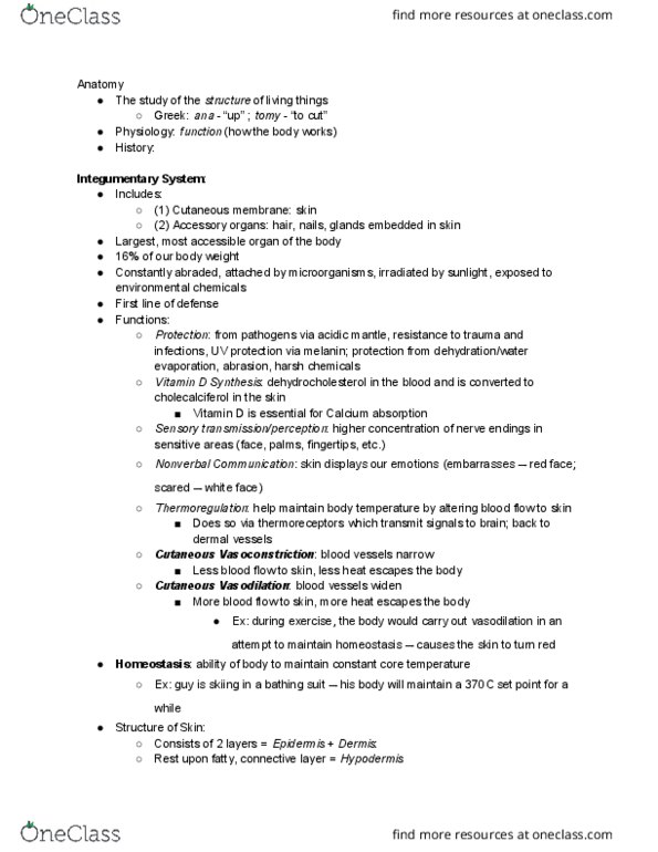 BIOL 129 Lecture Notes - Lecture 1: Stratum Granulosum, Stratum Spinosum, Stratum Basale thumbnail