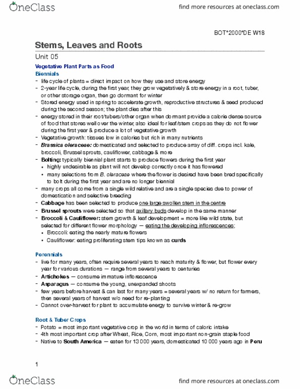 BOT 2000 Lecture Notes - Lecture 5: Biennial Plant, Broccoli, Tuber thumbnail