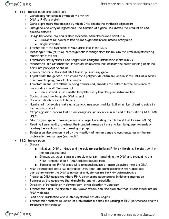 BILD 1 Chapter Notes - Chapter 14: Gene Expression, Coding Strand, Start Codon thumbnail