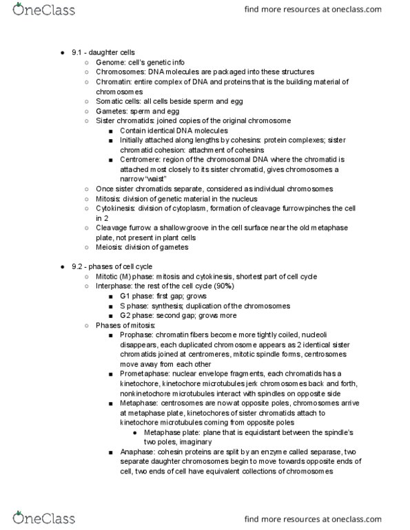 BILD 1 Chapter Notes - Chapter 9: Cleavage Furrow, Sister Chromatids, Spindle Apparatus thumbnail