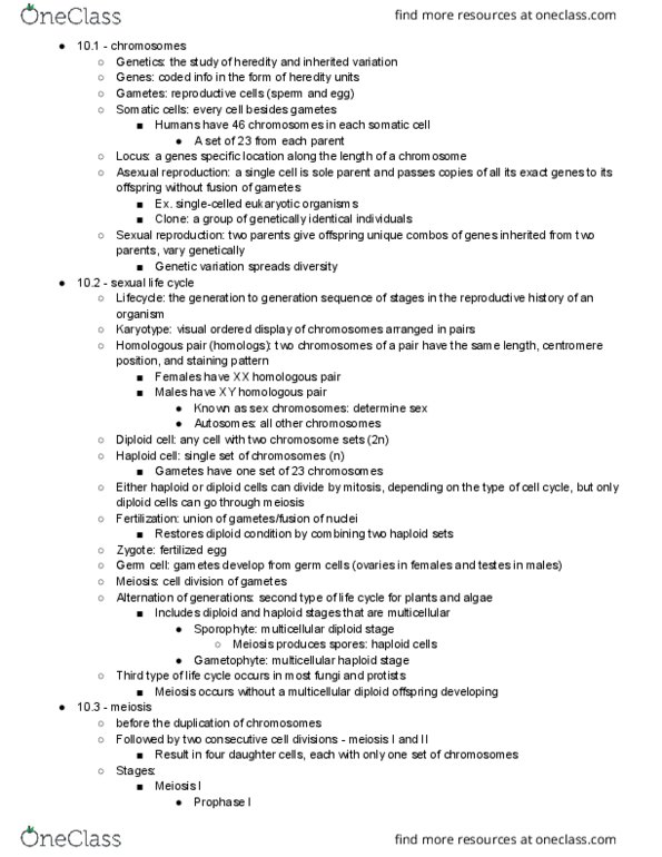 BILD 1 Chapter Notes - Chapter 10: Asexual Reproduction, Somatic Cell, Centromere thumbnail