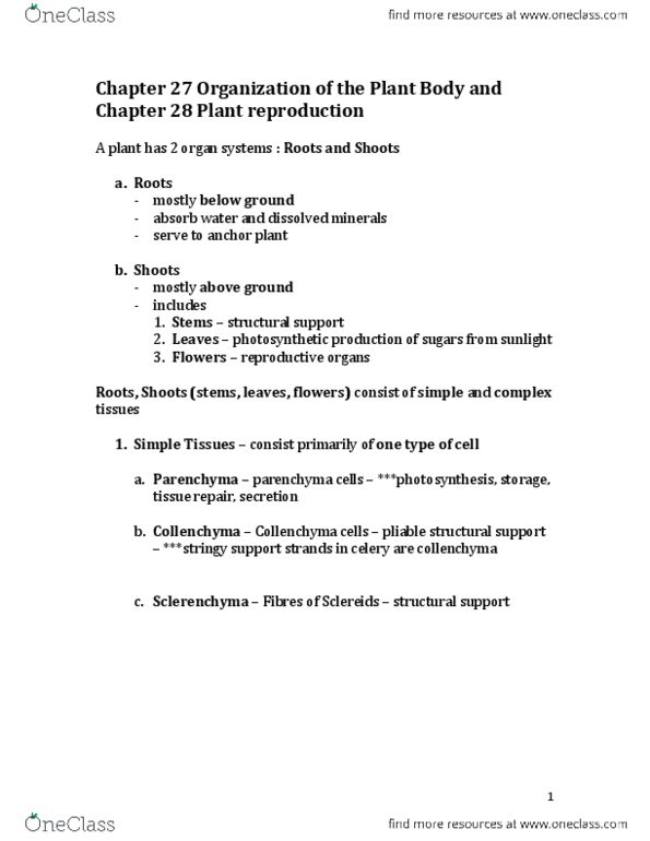 Biology 1225 Chapter Notes - Chapter 27: Germination, Endosperm, Meiosis thumbnail