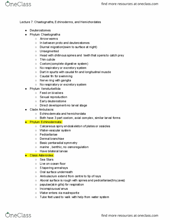 BIOL 2325 Lecture Notes - Lecture 7: Pedicellaria, Xenoturbella, Chaetognatha thumbnail