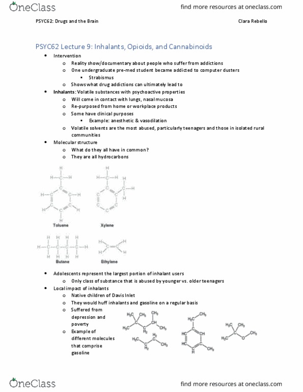 PSYC62H3 Lecture Notes - Lecture 9: Opioid Use Disorder, Opioid Peptide, Opioid Receptor thumbnail