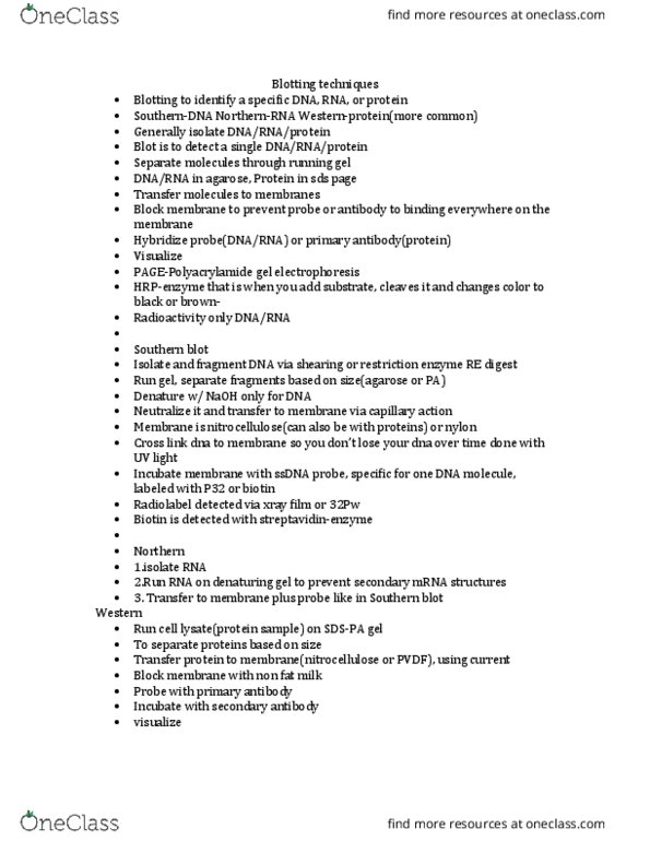 MCDB 101A Lecture Notes - Lecture 10: Southern Blot, Lysis, Polyvinylidene Fluoride thumbnail