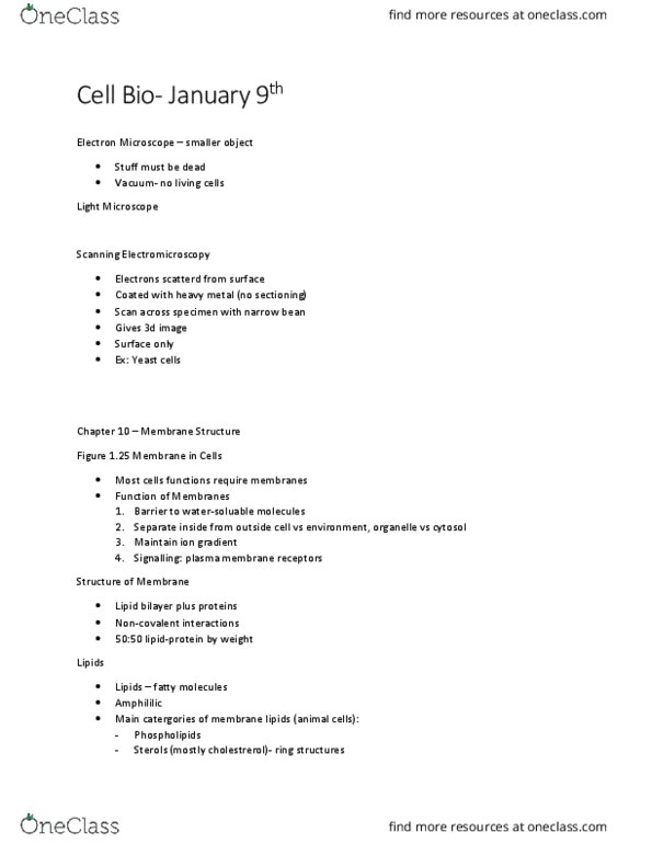 BIOL 2021 Lecture Notes - Lecture 5: Lipid Bilayer, Sterol, Cytosol thumbnail